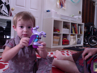 Screen shot 2016-08-04 at 8.15.03 PM  Look at this flying horse!